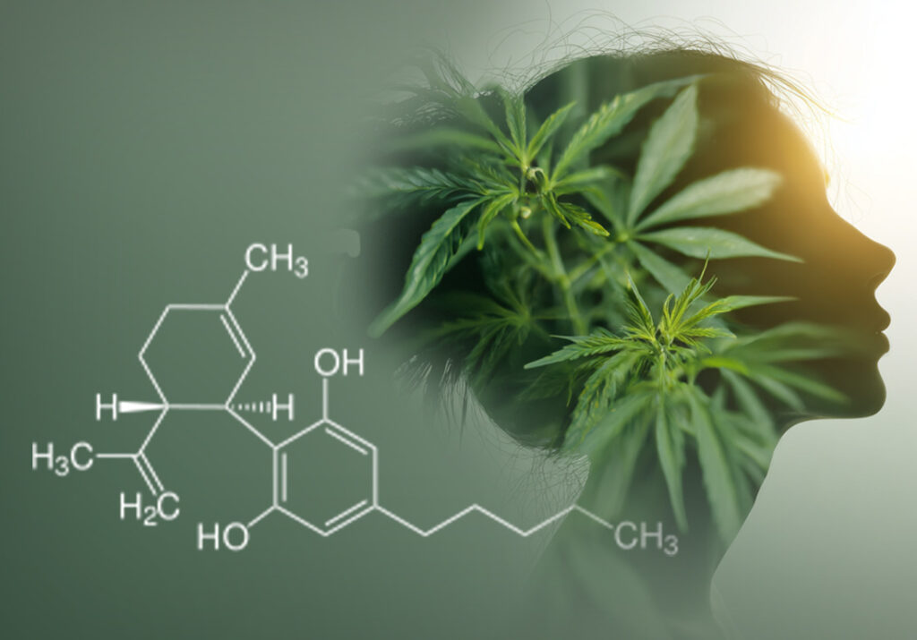 Cannabidiol – Mode of action and indications