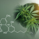 Cannabidiol – Mode of action and indications