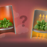 Conduction and convection in vaporizers – differences, advantages, and tips