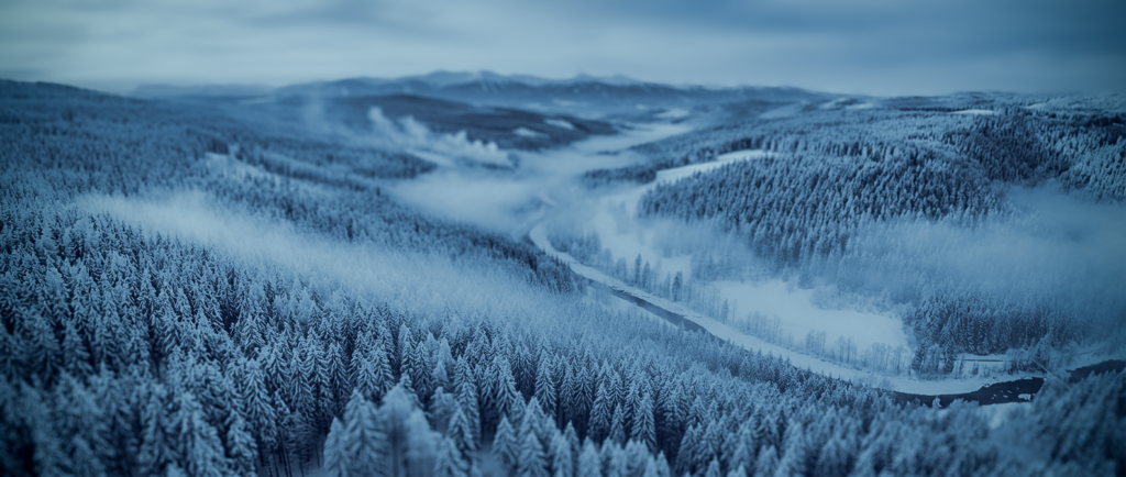 Panoramic view of a winter landscape in the Black Forest: Dense, frost-covered coniferous forests under a cool, blue sky with light mist.