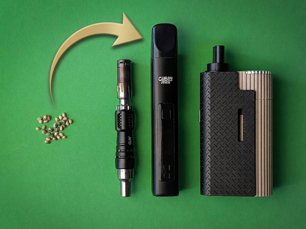 Welche Arten von Cannabissamen gibt es?