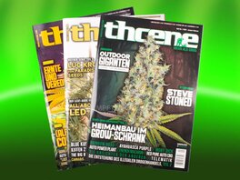 THCene magazine