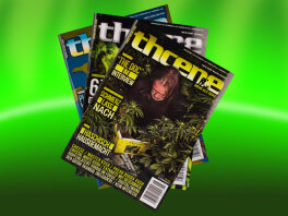 thcene Magazin