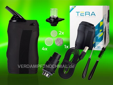 Boundless TERA delivery scope