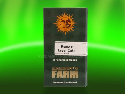 Barney`s Farm Runtz x Layer Cake Samen