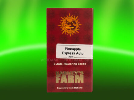 Barneys Farm - Watermelone Zkittlez Auto Seeds