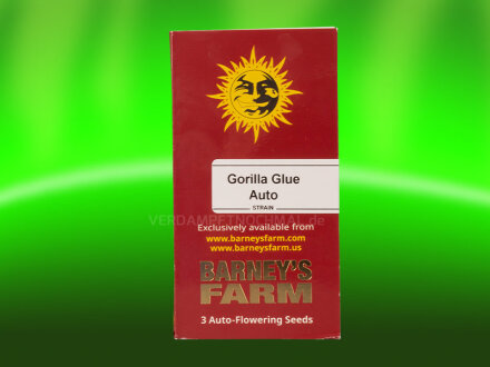 Barneys Farm -Watermelone Zkittlez Auto Samen