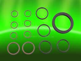 Vestratto WPA O-Rings Set