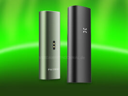 PAX Mini 2