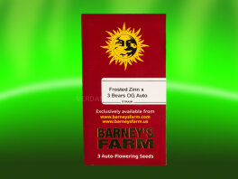Barney`s Farm  Frosted Zinn x 3 Bears OG Auto Strain