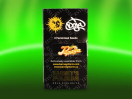 Barney`s Farm Papaya Frosting Samen