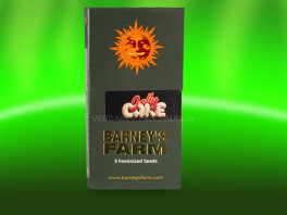 Barney`s Farm Samen Jelly Cake Samen