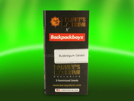 Barney`s Farm Bubblegum Gelato Samen