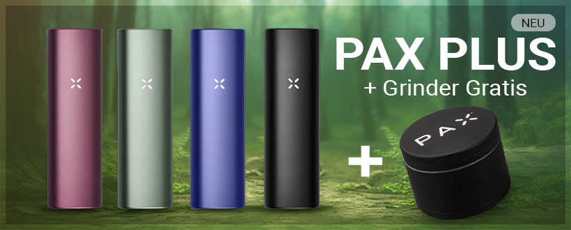 Pax Plus inkl. kostenloser Grinder